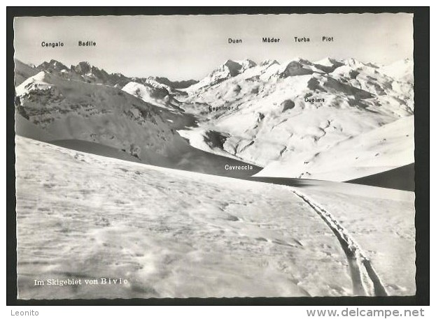 BIVIO Cavreccia Skigebiet Gegen Septimer-Pass 1962 - Bivio