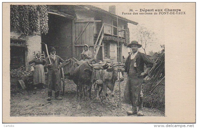 01 Ferme Aux Environs De PONT-DE-VAUX   Départ Aux Champs (TOP) - Pont-de-Vaux