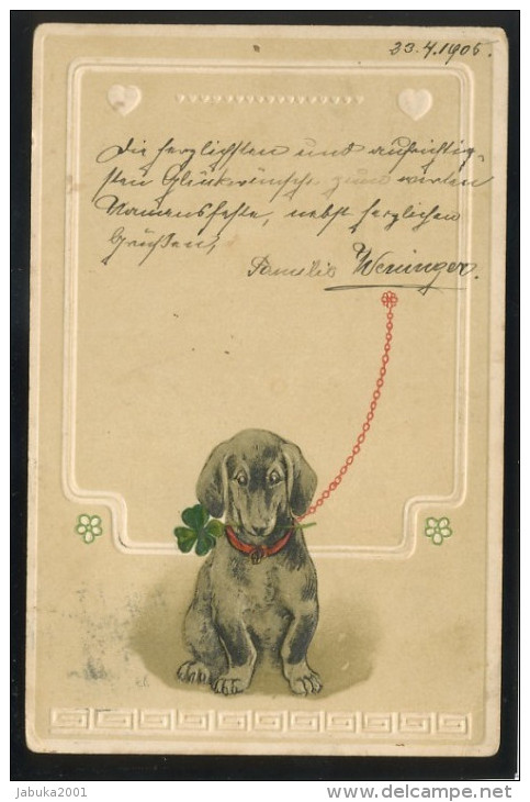 DOG HUNDE DACHSHUND DACKEL OLD POSTCARD #315 EMBOSSED - Chiens