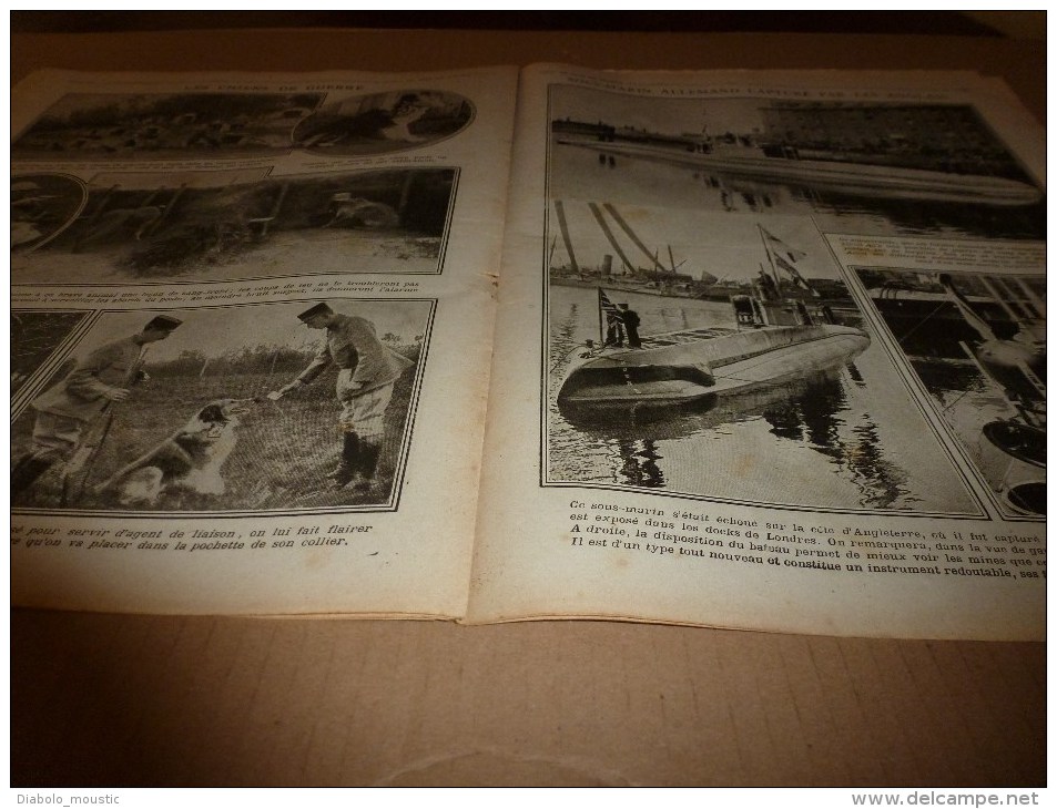 1916 LPDF: Frise;Avion de guerre;Prisonniers allemands;Les CHIENS de GUERRE;Belgique et les belges ERZINDJAN;Malines etc