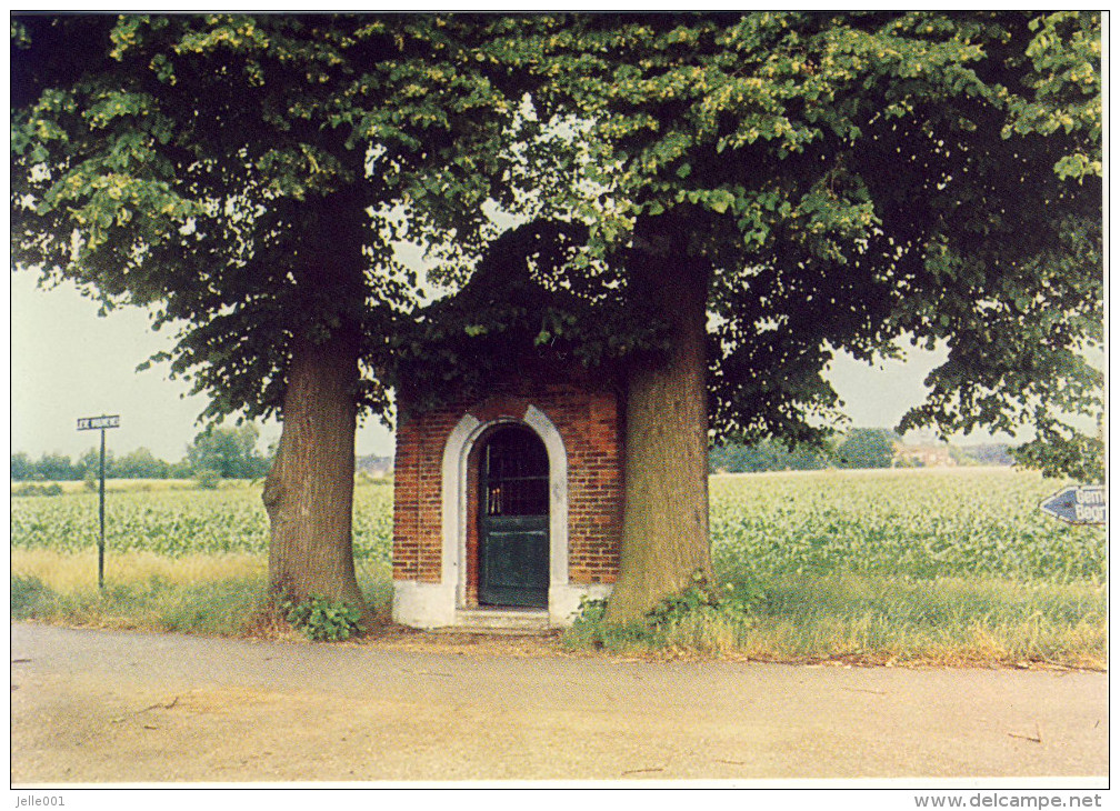 Meerhout  Molenpad Stenen Kapel - Meerhout