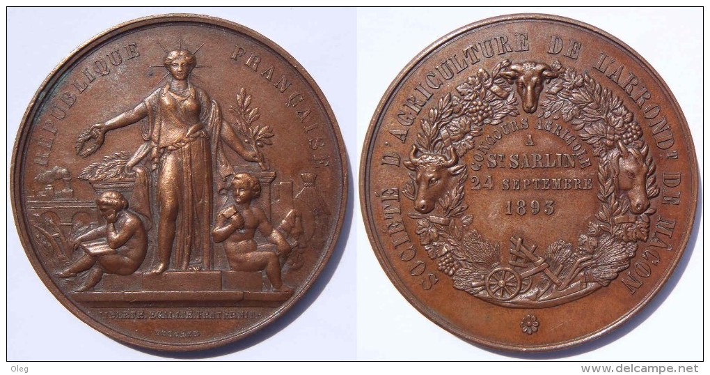 Bourgogne Saône-et-Loire La Roche Vineuse (Saint Sorlin) Médaille Concours Agricole 1893 Avec Légende Fautive St Sarlin - Professionnels / De Société
