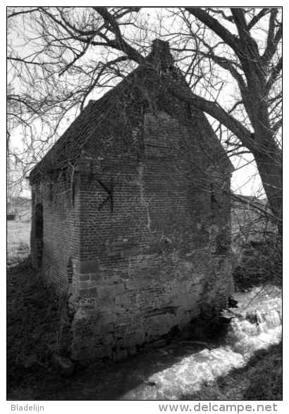 ZWEVEGEM (W.Vl.) - Molen/moulin - Historische Opname (1995) Van De Verdwenen Slijpemolen, Watermolen Op De Slijpebeek - Zwevegem