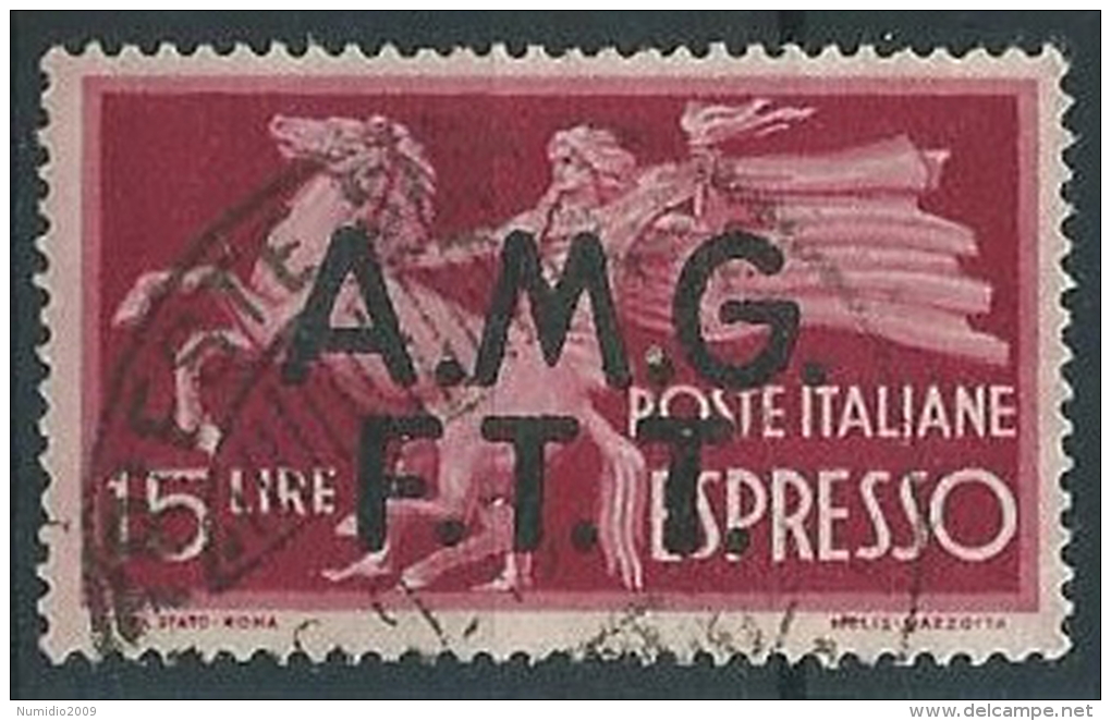 1947-48 TRIESTE A USATO ESPRESSO 15 LIRE - ED926-4 - Posta Espresso