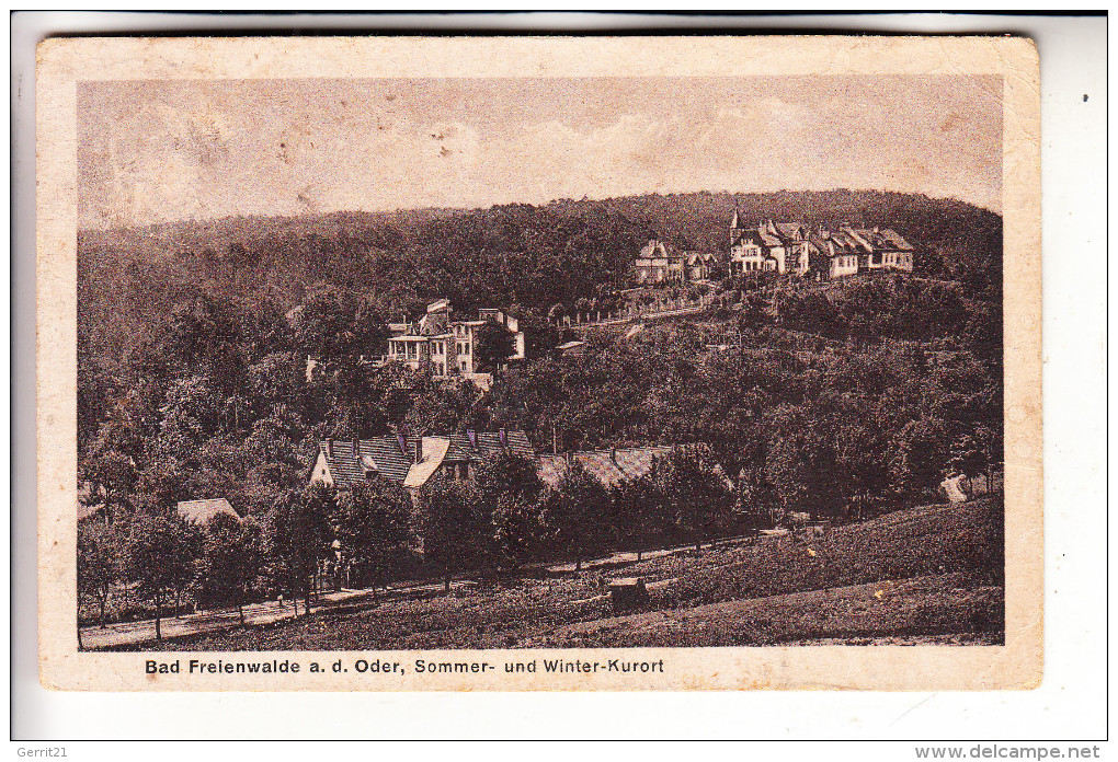 0-1310 BAD FREIENWALDE, Panorama, 192.., Kleiner Einriss - Bad Freienwalde