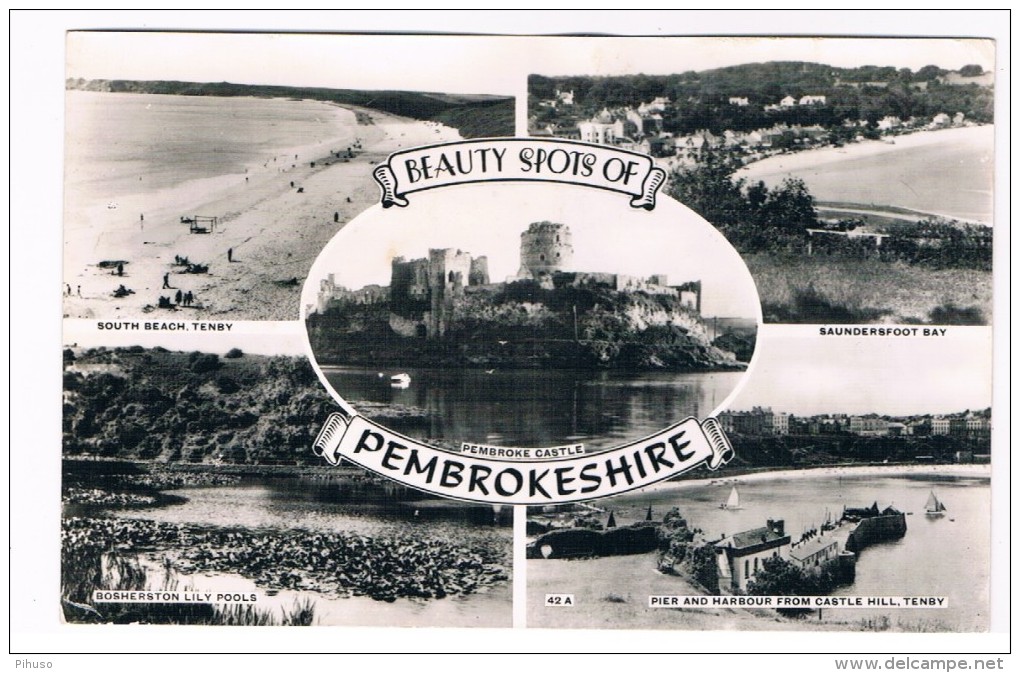 UK1936    PEMBROKESHIRE : Multiview - Pembrokeshire