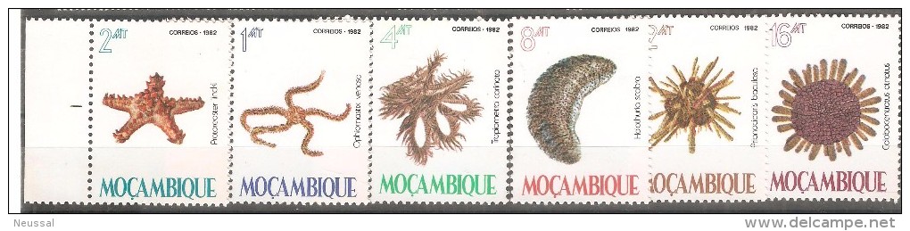 Serie Nº 897/902 Mozambique - Fossilien