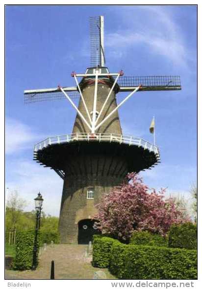 RAVENSTEIN Bij Oss (N.Br.) - Molen/moulin - De Nijverheid (of De Raaf), Hoogste Molen Van De Provincie Noord-Brabant - Oss