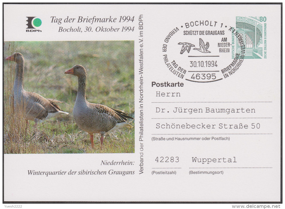 Allemagne 1994. Privatganzsache, Entier Postal Timbré Sur Commande. Protection De La Nature. Oies - Oies