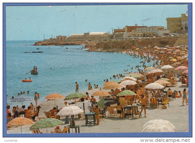 BISCEGLIE  (  Bari) -F/G   Colore (61009) - Bisceglie