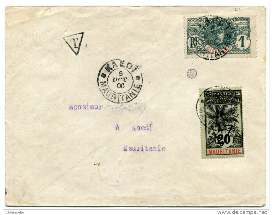 MAURITANIE TIMBRE-TAXE 20 C PALMIER SUR LETTRE LOCALE (1906) - Briefe U. Dokumente