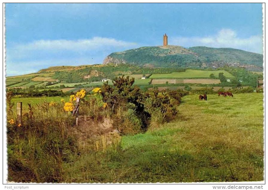 Royaume Uni - Angleterre - Irlande Du Nord - Scrabo Tower - Down