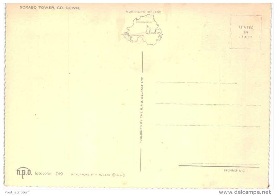 Royaume Uni - Angleterre - Irlande Du Nord - Scrabo Tower - Down