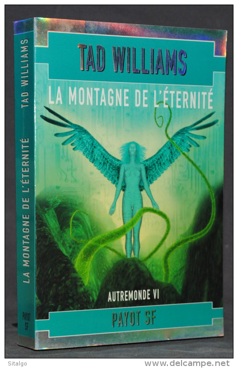 LA MONTAGNE DE L'ÉTERNITÉ (AUTREMONDE 4) - TAD WILLIAMS - SF - PAYOT - Autres & Non Classés