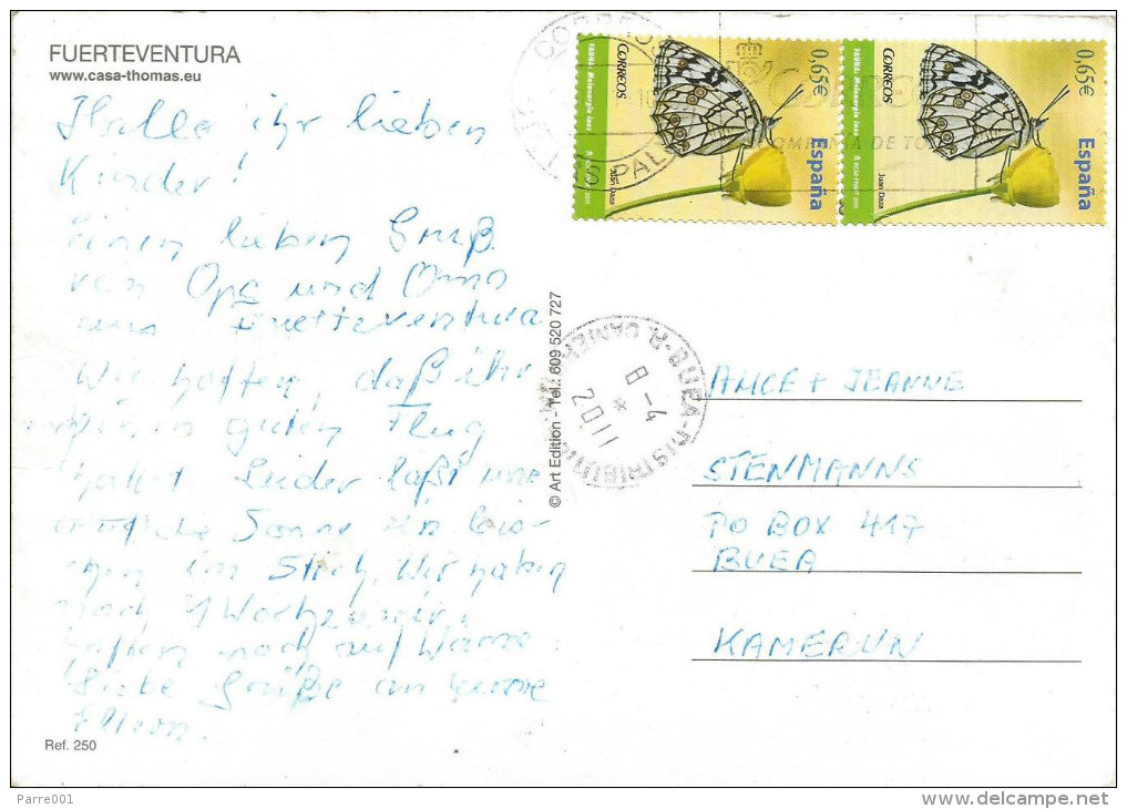 Spain 2011 Las Palmas Melanargia Butterfly Insect Viewcard To Cameroon - Vlinders