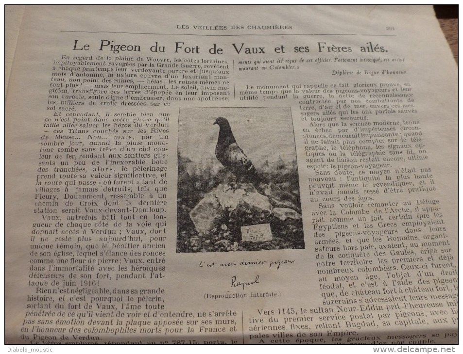 1936 Vdc (20 revues) :LA MAISON SANS HISTOIRE d'André Bruyère; Le pigeon du Fort de Vaux;Enfance de Mozart;Ile Maurice;