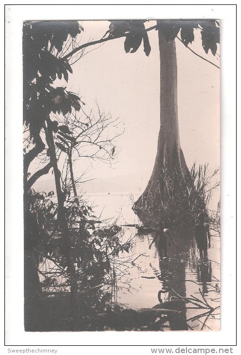 RP  SAID TO BE GOLD COAST Ghana COUPLE OF NATIVES TALL TREE IN WATER UNUSED CARD 1 OF 7 - Ghana - Gold Coast