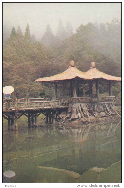 Taiwan - Bagua Twins Pavilions On Sibling Lake, Mount Ali, Alishan Township Of Chiayi County - Taiwan