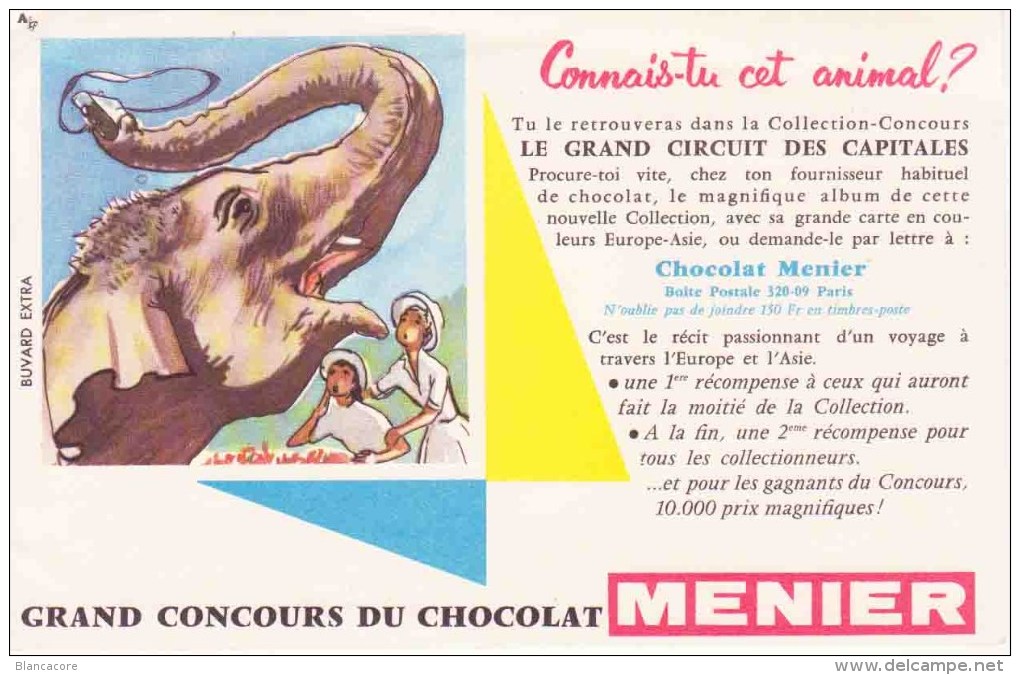 CHOCOLAT MENIER   + éléphant - Chocolat