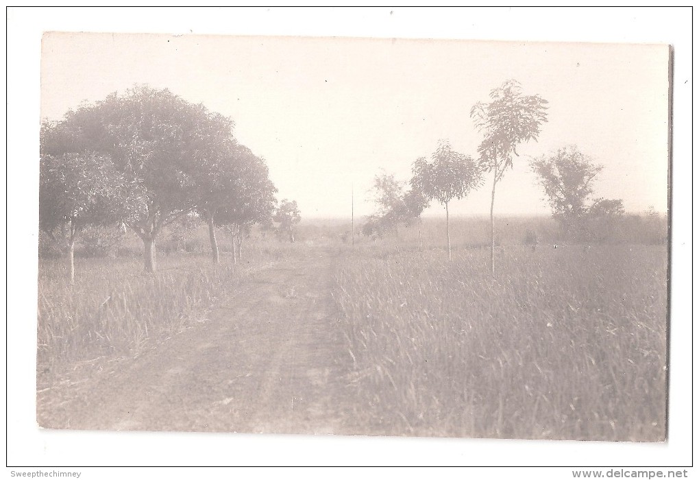 RP  SAID TO BE GOLD COAST Ghana ROAD DIRT TRACK AND NATIVE TREES UNUSED  CARD 3 OF 7 - Ghana - Gold Coast
