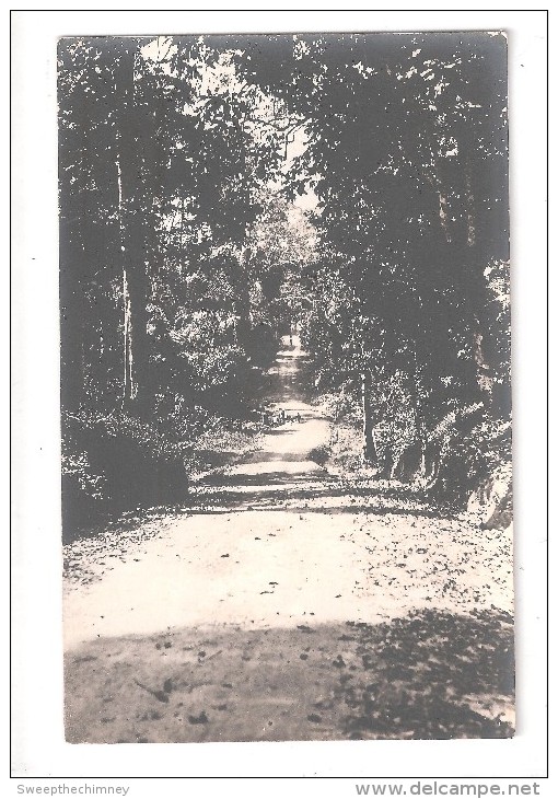 RP  SAID TO BE GOLD COAST Ghana A ROAD DIRT TRACK AND NATIVE TREES EITHER SIDE UNUSED  CARD 4 OF 7 - Ghana - Gold Coast