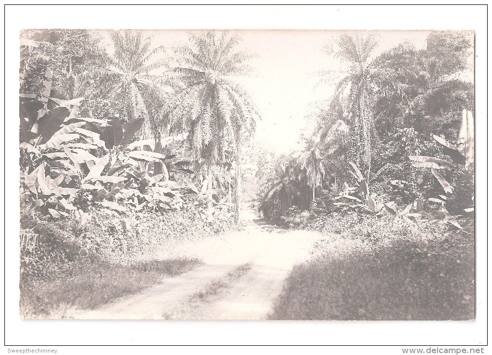 RP  SAID TO BE GOLD COAST Ghana A ROAD DIRT TRACK AND NATIVE COCONUT TREES EITHER SIDE UNUSED  CARD 5 OF 7 - Ghana - Gold Coast