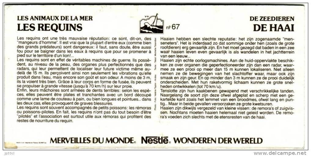 Chromo Nestlé Merveilles Du Monde N° 67 - Les Requins - De Haai - Nestlé