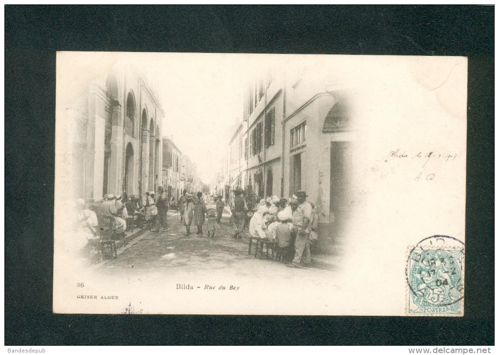 Algerie - Blida - Rue Du Bey ( Animée Geiser N°36 Dos Simple) - Blida