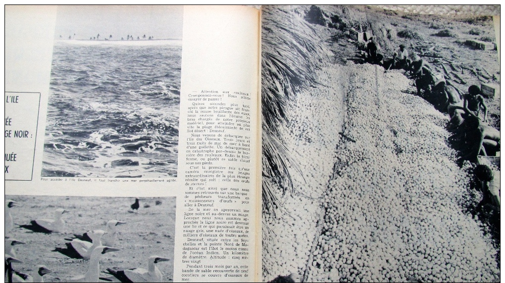 Le Soir Illustré 1896 Jackie Kennedy, Onassis, cabarets, trésors, affaire Markovic, Olympiades noires, 14-18, Seychelles