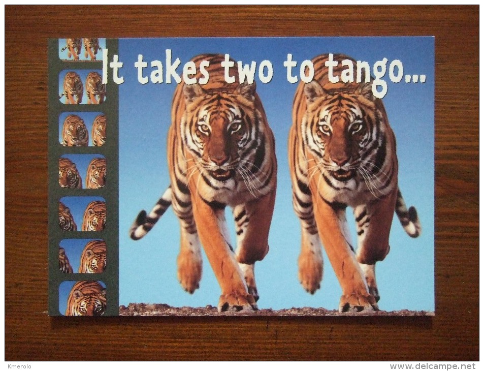 Tiger It Takes Two To Tango... Carte Postale - Tijgers