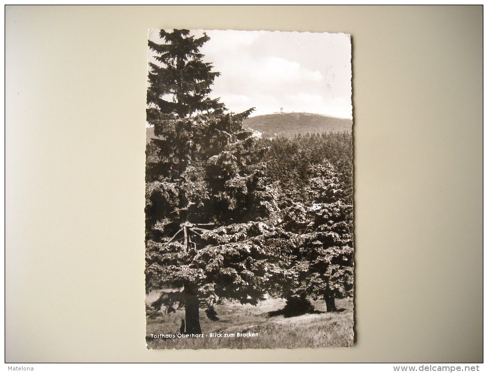 ALLEMAGNE BASSE SAXE TORFHAUS OBERHARZ BLICK ZUM BROCKEN - Oberharz