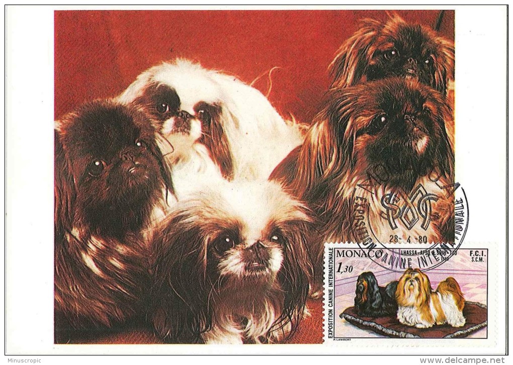 CM Monaco - Exposition Canine Internationale - Lhassa - 1980 - Maximumkaarten
