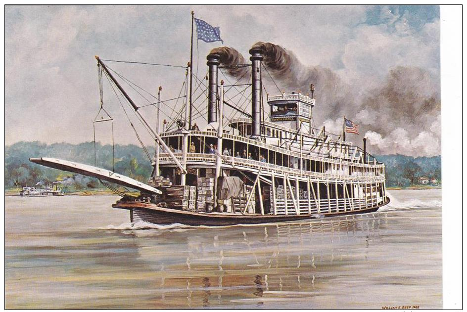 Artist Drawn Paddle Steamer Senator Cordill Shipping Postcard (S11849) - Paquebots
