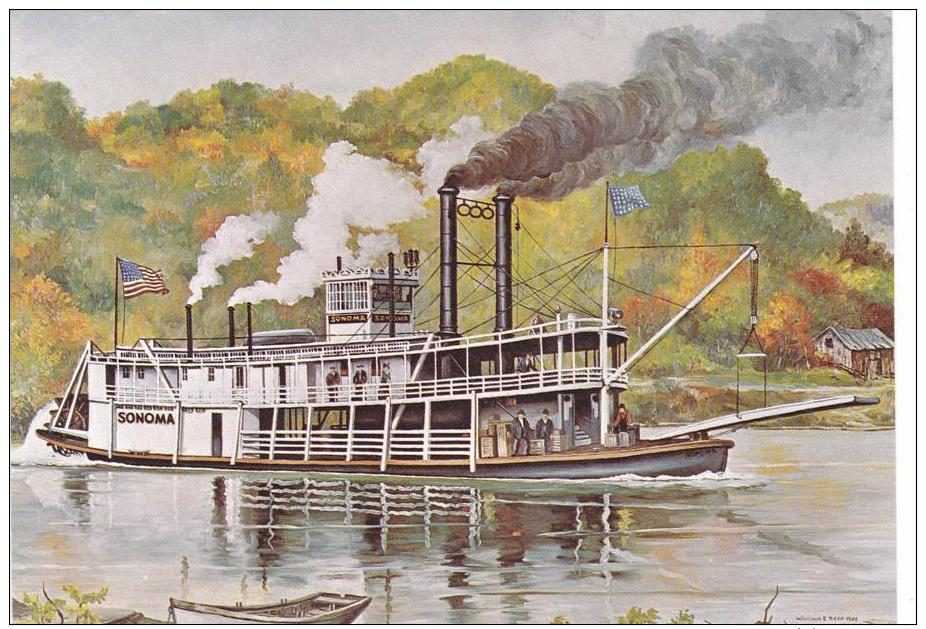 Artist Drawn Paddle Steamer Sonoma Shipping Postcard (S11851) - Paquebots