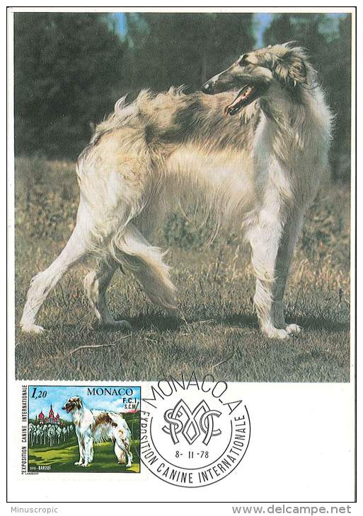 CM Monaco - Exposition Canine Internationale - Barzoi - 1978 - Cartes-Maximum (CM)