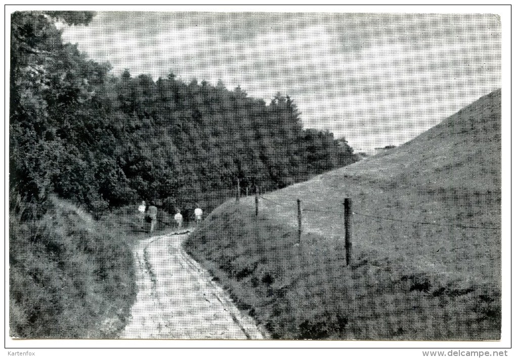 Hulvej Ved Tinghulen, Mols Bjerge, Nationalpark, Jütland - Dänemark