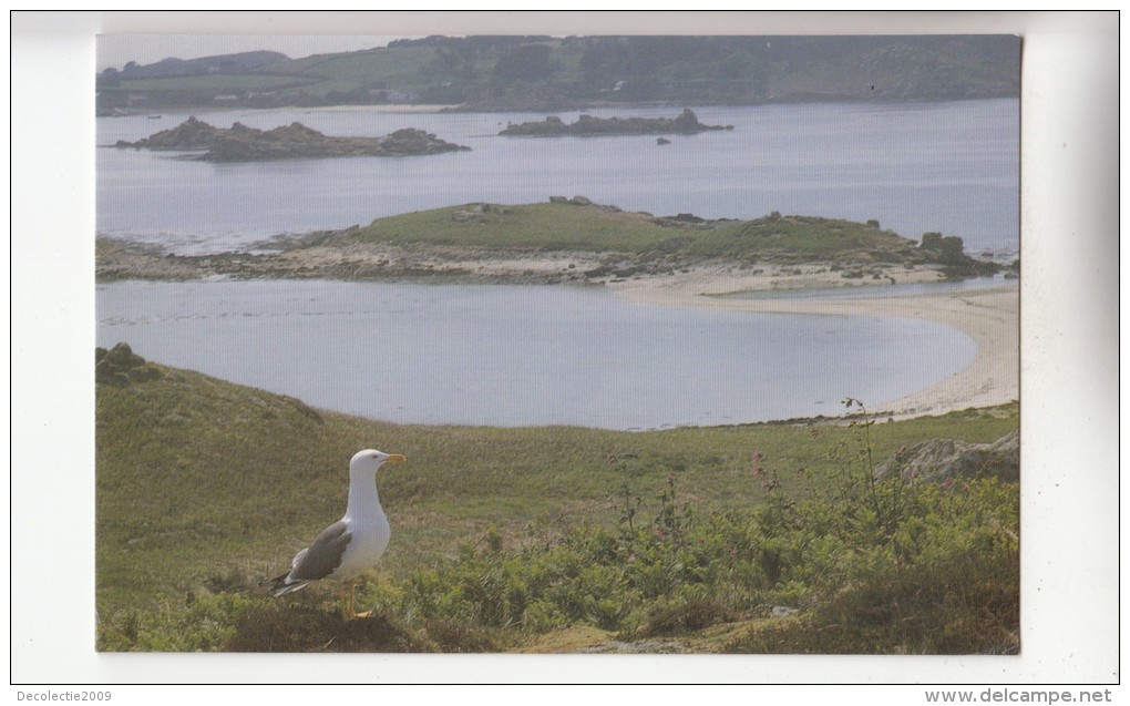 BF30372 Tean Isles Of Scilly UK Front/back Image - Scilly Isles