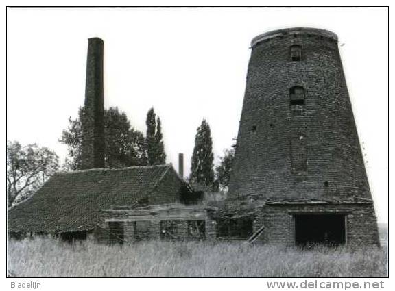 BETEKOM Bij Begijnendijk - Molen/moulin - Historische Opname Van De Nieuwe Molen In 1984 Voor De Renovatie. Zeer Fraai. - Begijnendijk