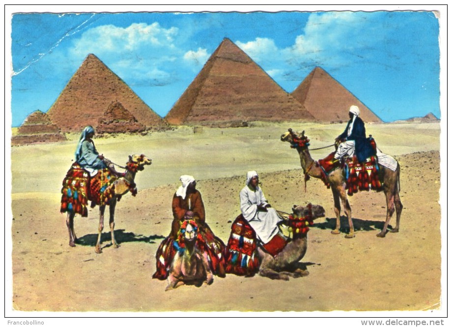 EGYPT - ARABS NEAR GIZA PYRAMID GROUP / CAMELS - Pyramiden