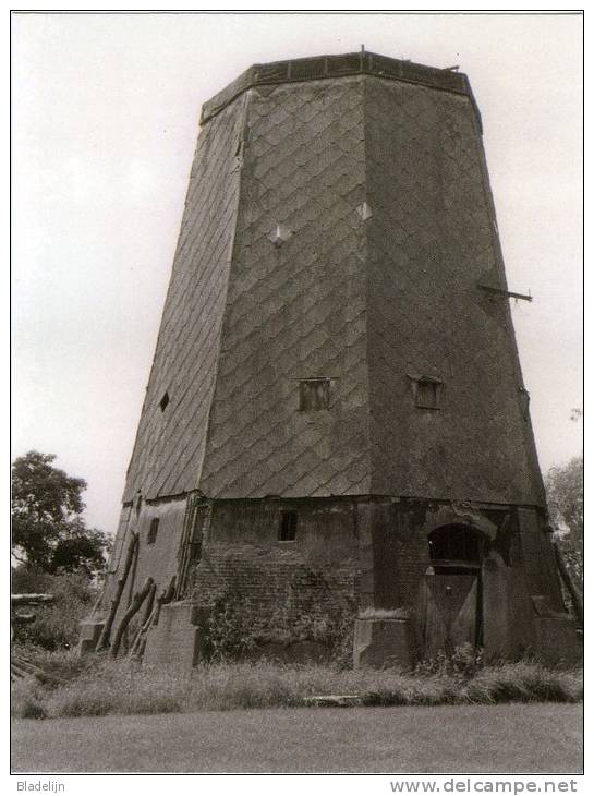 BALEN (Antw.) - Molen/moulin - De Verdwenen Houten Romp Van De Schoormolen In 1983. Zeldzame Opname! - Balen