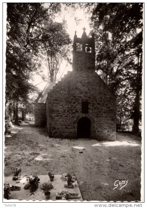 C P S M-C P M---22----PAIMPOL---chapelle Lanvignec---voir 2 Scans - Paimpol