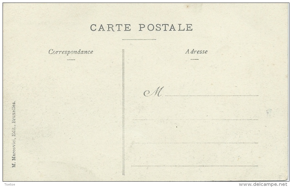 Paliseul - Château De Framont - Jolie Carte Couleur ( Voir Verso ) - Paliseul