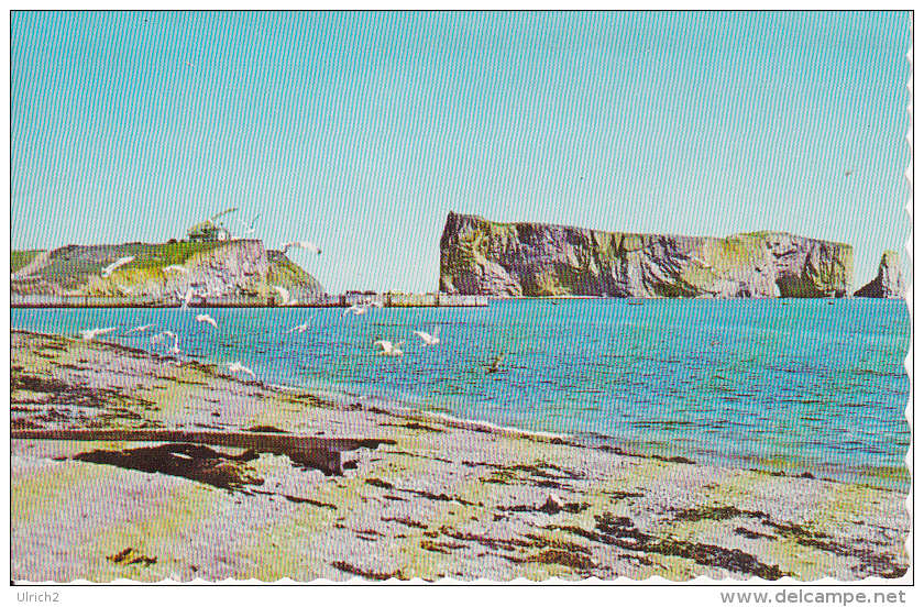 PC Percé (Québec) - Le Rocher Percé Et Les Oiseaux - 1967 (9037) - Percé