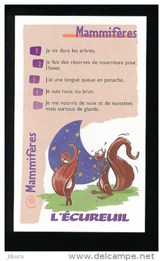 Humour Ecureuil / Squirrel Animal  / IM 126/36 - Other & Unclassified