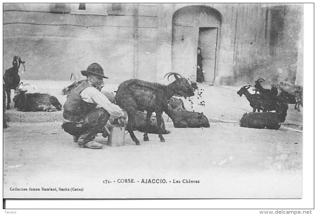 CORSE -  Chevrier - Berger -  La Livraison De Lait De Chèvres à Domicile - - Pas Le Moindre Défaut - Ajaccio