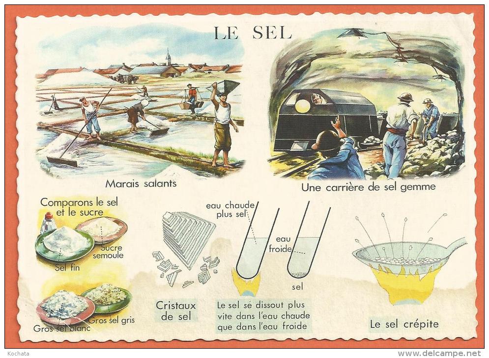 Oct24, Le Sel, Marais Salants, Carrière De Sel Gemme, , Cristaux De Sel, Salz, Mines, GF, Non Circulée - Mines