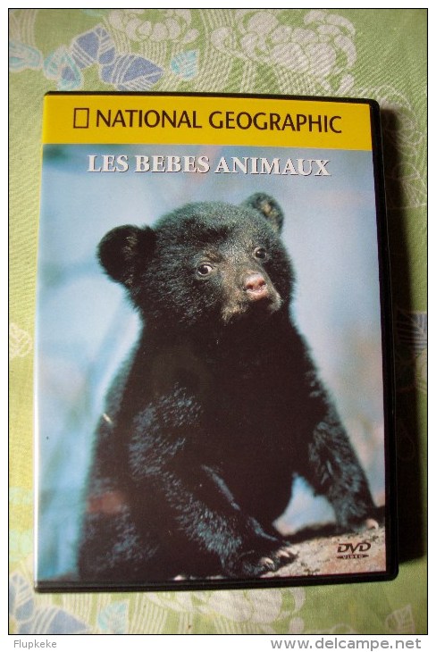 Dvd Zone 2 National Geographic Les Bébés Animaux Version Française - Documentaire