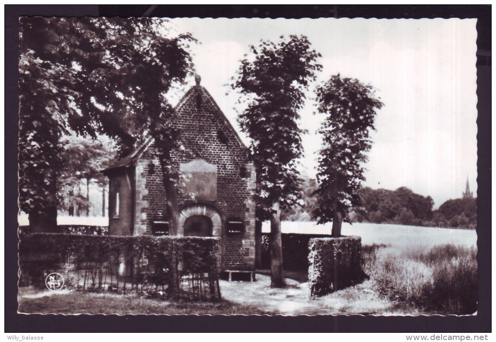 Carte Postale SENEFFE - La Chapelle De N-D Des Affligés - CPA  // - Seneffe