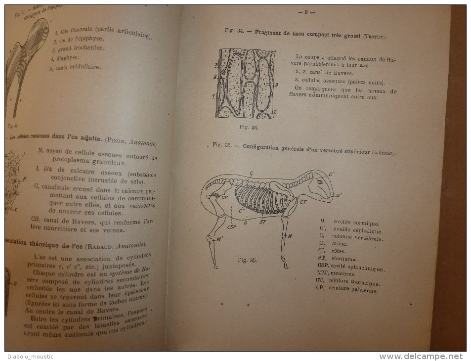 1925-1926      Ecole Spéciale Militaire De St-Cyr          ATLAS D' ANATOMIE Et De PHYSIOLOGIE - Documents