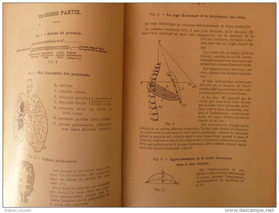 1925-1926      Ecole Spéciale Militaire de St-Cyr          ATLAS d' ANATOMIE et de PHYSIOLOGIE